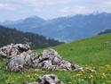 Bavarian Alps, 32 entries