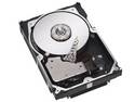 Naked Hard Drive, 33 entries