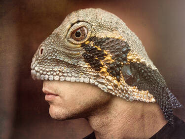 Iguanaman, 3 votes Iguanaman, 3 votes