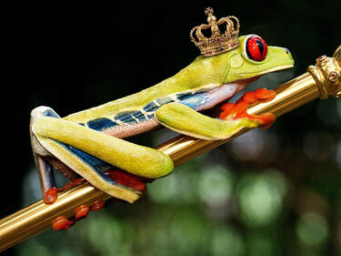 Prince charming, 3 votes Prince charming, 3 votes