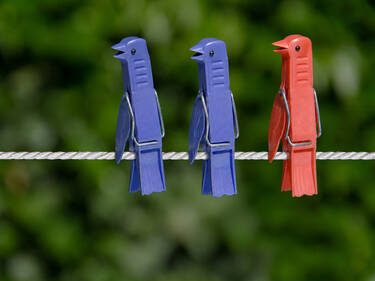 Birds on a Wire, 5 votes Birds on a Wire, 5 votes