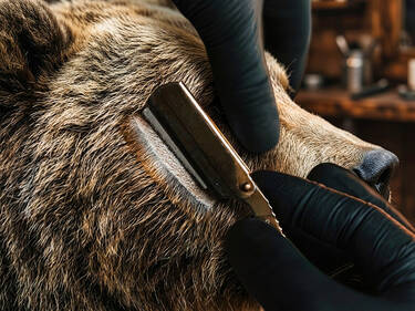 Just a trim, please, 2 votes Just a trim, please, 2 votes